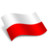 Poland Polska Flag Icon